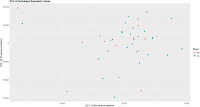 Genome Regulation and Gene Interaction Networks Inferred From Muscle Transcriptome Underlying Feed Efficiency in Pigs